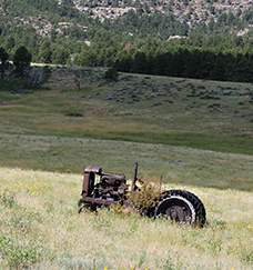 an old tractor in a field