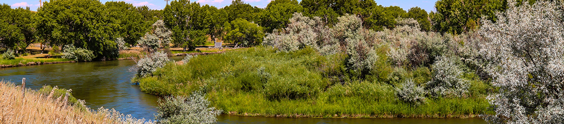 river running with green grass and trees